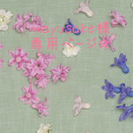 mayusake様 専用ページ☆