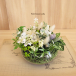 Petit Green Arrange 246
