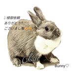 usacharo様御依頼 ご専用カート うちのこグッズ  ラビット うさちゃん