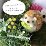 ボクも一緒につれてって！しがみつき？！ハリネズミブローチ