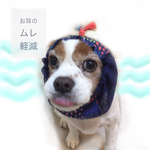 レトロ★スイマーズ風 /わんちゃんサイドメッシュの スヌード 