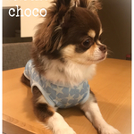 犬服 ウォータークールタンク