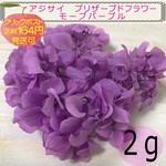 ◆No.12◆『モーブパープル』アジサイ　プリザーブドフラワー　２ｇ