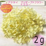 ◆No.14◆『イエロー』アジサイ　プリザーブドフラワー　２ｇ