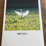 フォトエッセイ集 神様の友達２ 自然 生き物好きな方へ