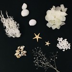 ハーバリウム花材キット white summer