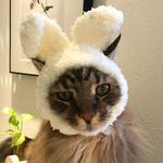 2018ウサギ耳