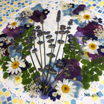 ♡new♡ 送料無料！¥1470 ♡たっぷり押し花セット♡