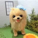 ポメラニアン(青いリボン)