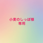 小麦のしっぽ様専用 シェルティ