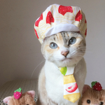 ♡ケーキ工場長セット♡