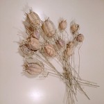 45　フーセンポピー☆ウォッシュタイプ☆ドライフラワー☆花材☆ハーバリウム