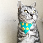 【レモン柄】猫用バンダナ風セーフティ首輪／選べるセーフティバックル　猫首輪　安全首輪