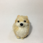  おすわりポメ