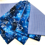 ■ご予約品●夜空に鳥獣戯画柄半幅帯長尺リバ