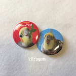 缶バッジ２個セット（宇宙インコ）