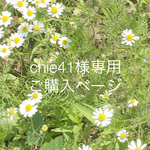 chie41様専用ご購入ページ