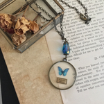 【天色の蝶】標本ネックレス