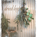 《再販》ドライフラワー スワッグ シルバーリーフ