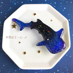ブローチ＊星空に棲むモノ～ジンベイザメ～