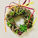 ボタニカル多肉リース🌿🍀