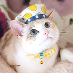 ●●れもんパティシエセット●●