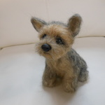 羊毛フェルト＊ヨークシャテリアの仔犬１６号