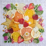 ★限定品・ゲリラ販売★押し花と押しフルーツ／ボタニカル素材