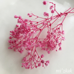 カスミ草  ピンク 小粒