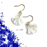 白い貝殻ピアス／イヤリング