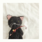 ほんわか優しい色の黒猫さん