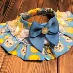 犬・猫首輪　21～23　cocoちゃんフリルチョーカー　現品限り！レモン猫・プルー・プリンセス