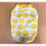 コーギー用 オレンジ柄