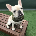 クールスヌード☆ペイズリー柄緑☆サイズオーダー