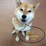 【客注】お揃いの布ライナー   2枚