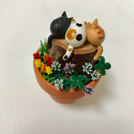 花と猫