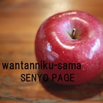 wantanniku様・専用ページ