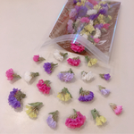 スターチス ５色  MIX ❁