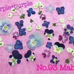 ♡押し花素材♡purple×purple♡
