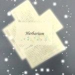 ハーバリウム説明書 ①送料込み！ 10枚