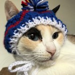 サッカーにゃんこ帽子　Ｓサイズ