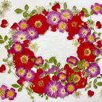 薔薇のリース型アソートセット