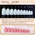 クリアネイルチップ★ショートオーバル600枚 ナチュラル