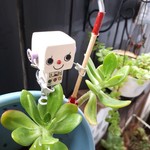 再販・ちょこんピック