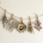 ＊ 感謝 sale ＊ natural ドライフラワーガーランド 