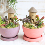 【母の日に】マカロンピンク　多肉植物箱庭風寄せ植えsmall　