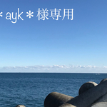  天然シーグラス＊ayk＊ 様 専用