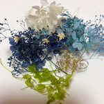 ハーバリウム花材