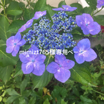 mimizt765様専用