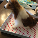 ゆきさん専用